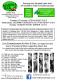 flyer small